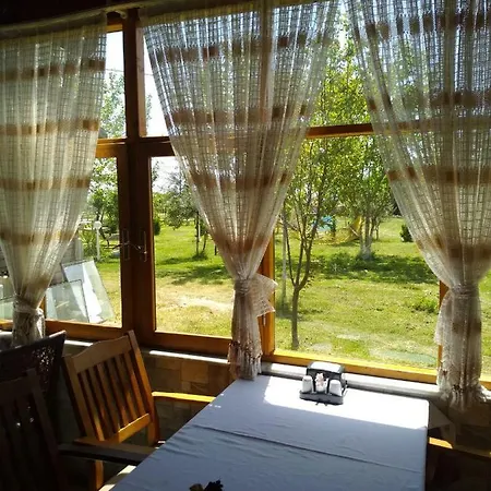 Oda ve Kahvaltı Deniz Kizi