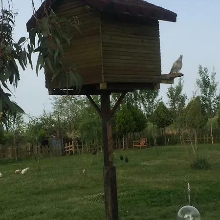 Bed & Breakfast Deniz Kizi Garden
